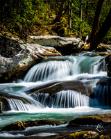 DSC_6800-3