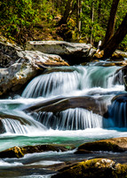 DSC_6800-2
