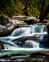 DSC_6800-4