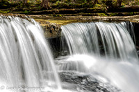JLL_0881