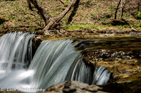 JLL_0856