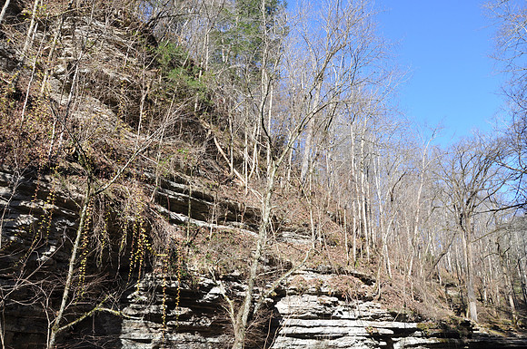 DSC_5345 094.JPG