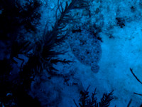 DSC00513