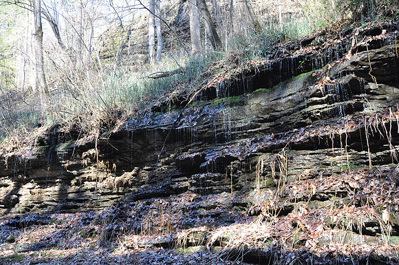 DSC_5359 108.JPG