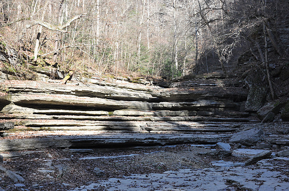 DSC_5356 105.JPG