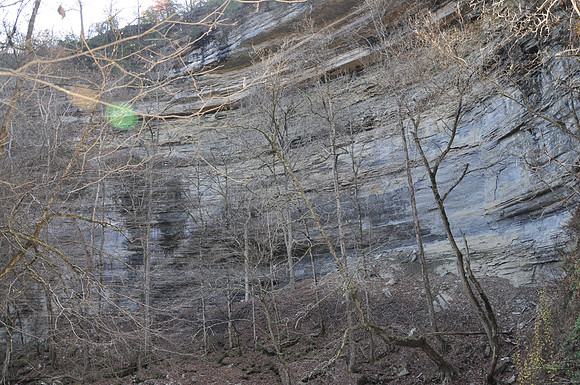 DSC_5343 092.JPG