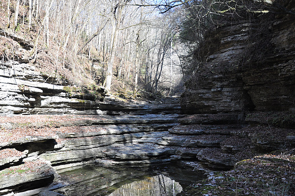 DSC_5351 100.JPG
