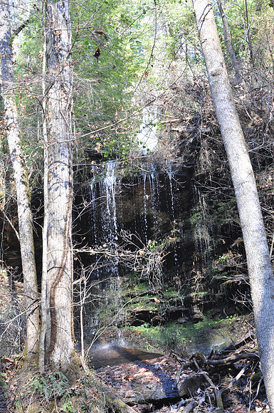 DSC_5362 111.JPG