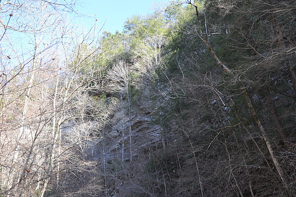 DSC_5357 106.JPG