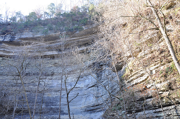 DSC_5344 093.JPG